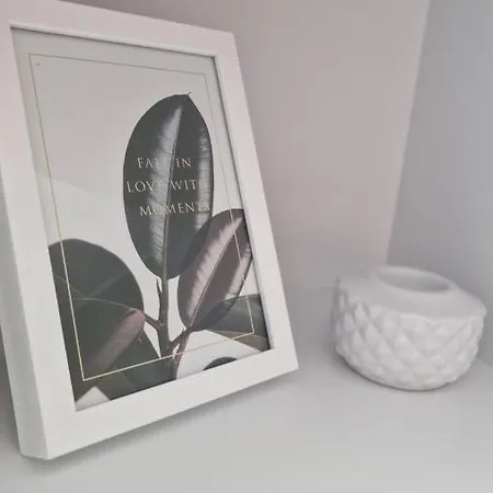 Apartament Alfama Garden Grudziądz Zewnętrze zdjęcie