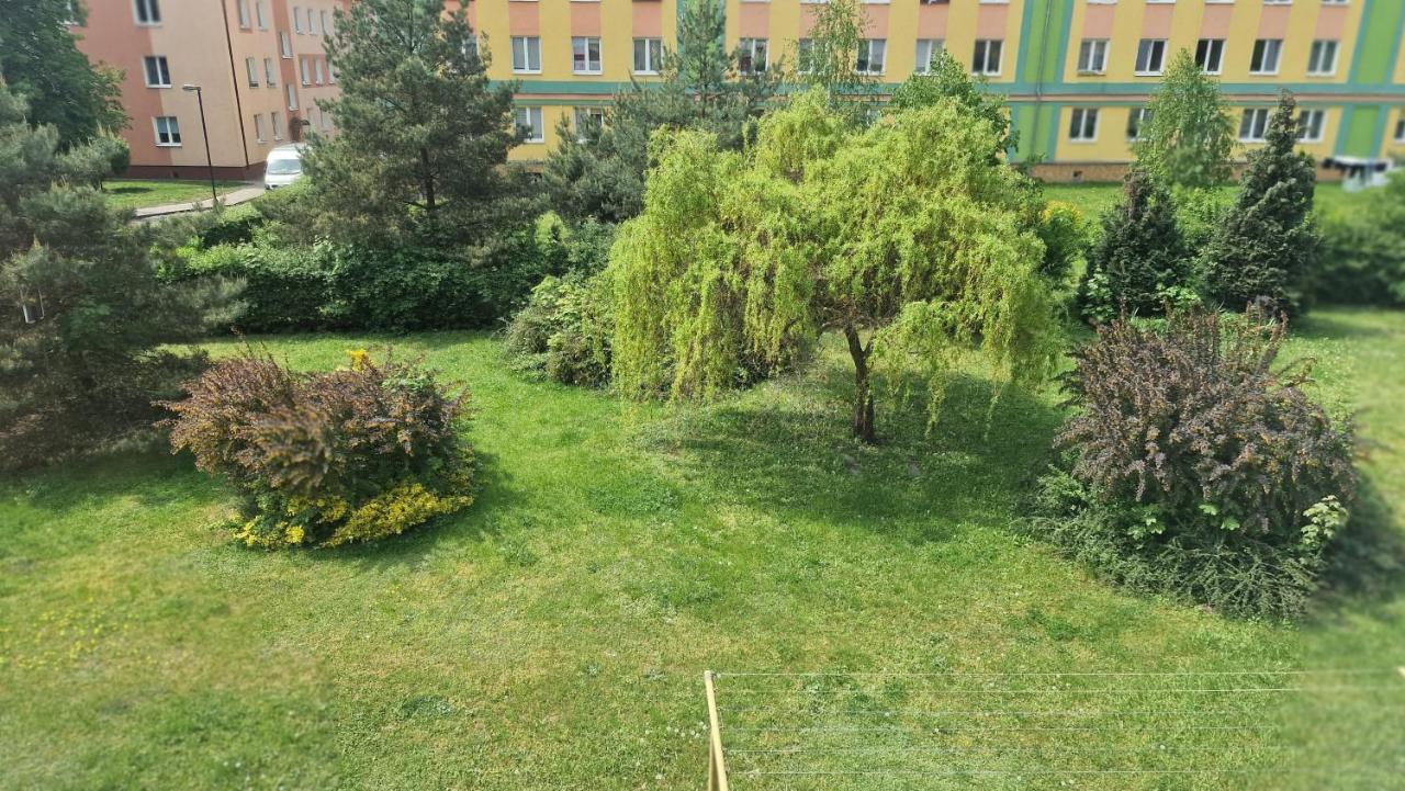 Alfama Garden *
